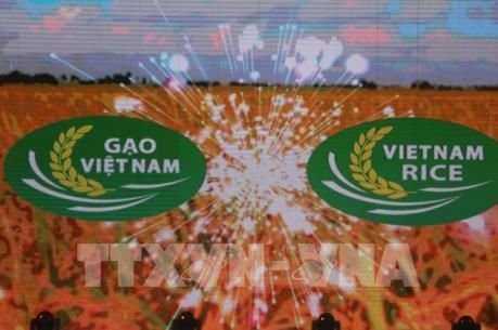 Nhận diện logo thương hiệu gạo Việt Nam