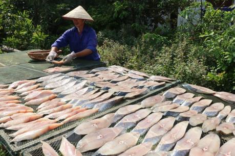 Phát triển thương hiệu cá thu một nắng Đồ Sơn