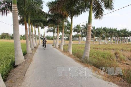 Số xã đạt chuẩn nông thôn mới đã tăng hơn 8%