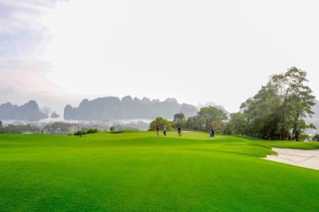 Ngày mai, FLC Biscom ra mắt ứng dụng đặt giờ chơi gôn