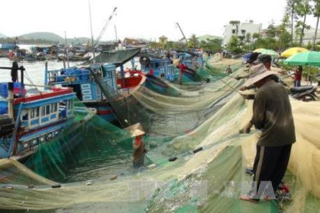 Nghề đánh bắt cá trước mối nguy biến đổi khí hậu (Phần 2)