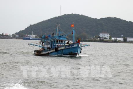 Khắc phục "thẻ vàng" IUU: Việt Nam có nhiều tiến bộ và đang đi đúng hướng