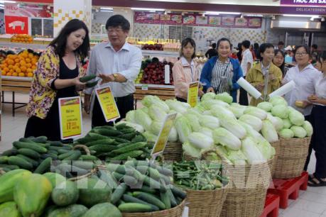 Big C Quy Nhơn chào bán sản phẩm Rau an toàn Bình Định