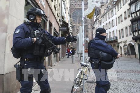 Lo lặp lại khủng bố, Đức thắt chặt an ninh tại chợ Giáng sinh
