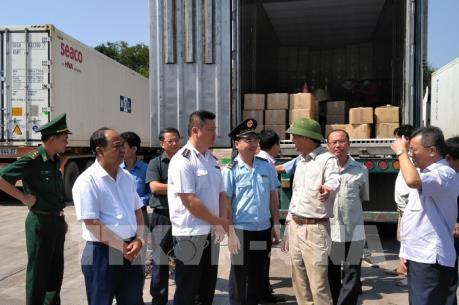 Hải quan ngăn chặn dịch tả lợn châu Phi