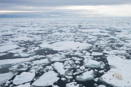 Mỗi giây có tới 14.000 tấn nước từ băng ở Bắc Cực đổ ra đại dương