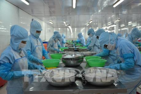 Nguyên nhân xuất khẩu thủy sản tại Bà Rịa-Vũng Tàu giảm mạnh