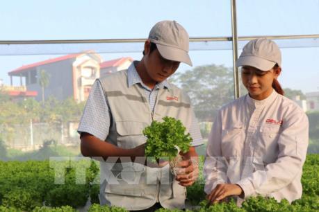 Bắc Giang: Làm giàu từ các mô hình nông nghiệp công nghệ cao