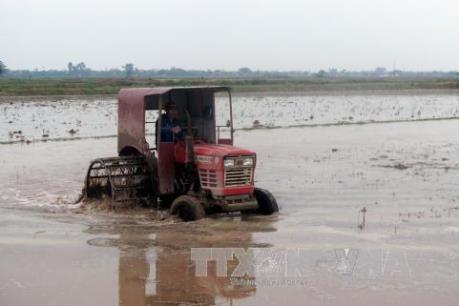 Vụ Đông Xuân 2018-2019: Các địa phương có 3 đợt lấy nước