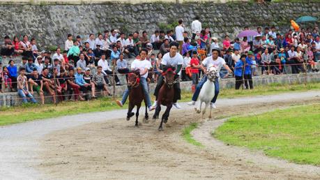 Bổ sung Dự án Trường đua ngựa vào Quy hoạch Hà Nội