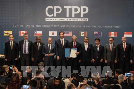 Các thành viên CPTPP nhất trí khởi động đàm phán về đơn xin gia nhập của Anh