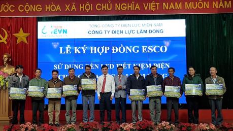 Giải pháp tiết kiệm điện trong sản xuất hoa