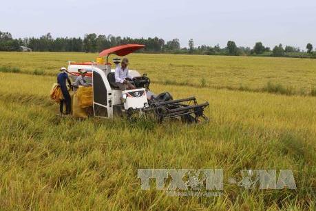 Hậu Giang hỗ trợ doanh nghiệp xây dựng nhà máy chế biến gạo xuất khẩu