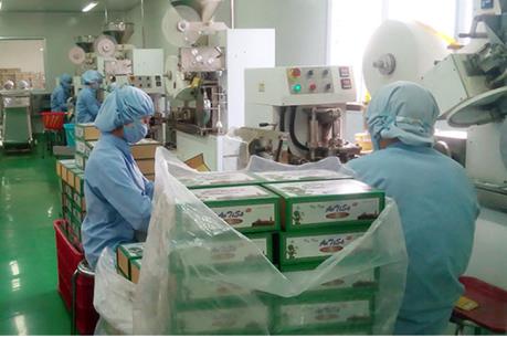 Lâm Đồng Ladophar thay thế giống dược liệu quý Atiso