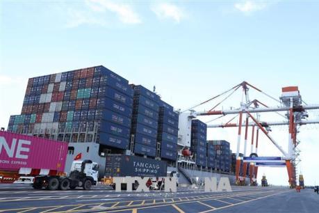 Khởi tố băng nhóm trộm cắp hàng hóa trên xe container xuất khẩu