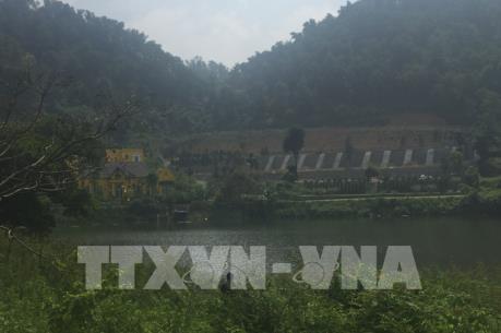 Kiểm toán nhà nước phát hiện sai sót trong quản lý rừng tại nhiều địa phương