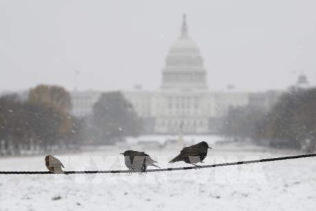Tuyết phủ trắng nhiều vùng tại Mỹ