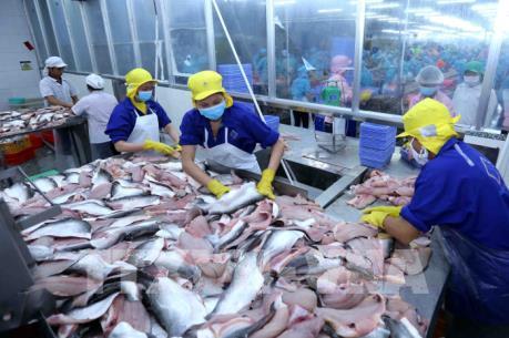 Xuất khẩu cá tra Việt Nam - Bài 1: Khơi thông thị trường mới