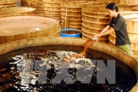 Trăm năm “hồn” mắm Nam Trung Bộ - Bài 3: Để hương vị nước mắm truyền thống bay xa