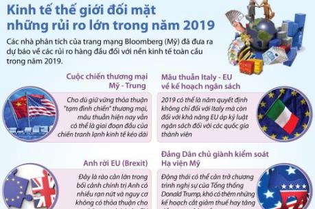 Kinh tế thế giới đối mặt những rủi ro lớn trong năm 2019