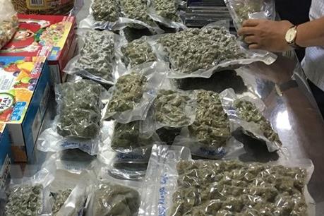 Bắt lô ma túy gửi qua đường hàng không tại Tân Sơn Nhất