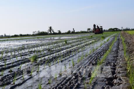 Nông nghiệp tái cơ cấu gắn với đổi mới mô hình tăng trưởng