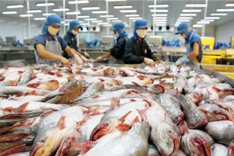 Vĩnh Hoàn góp 45% vốn lập công ty sản xuất giống cá tra