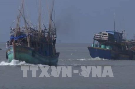 Dự báo thời tiết ngày mai 4/1: Bão số 1 gây mưa dông mạnh ở Trung Bộ