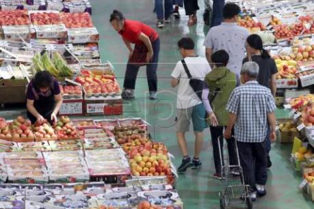 Hàn Quốc chính thức cấm siêu thị cung cấp túi ni lông cho khách hàng