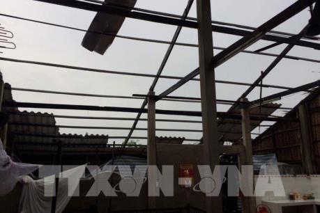 Bão Pabuk hoành hành ven biển miền Nam Thái Lan