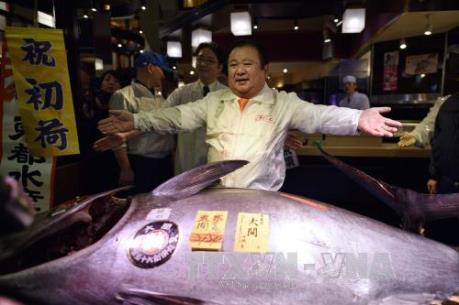 Nhật Bản: Cá ngừ khổng lồ được bán với giá kỷ lục