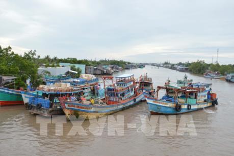 Thống kê ban đầu thiệt hại bão số 1