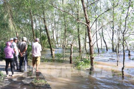 Tìm thấy thi thể một nạn nhân trong vụ chìm sà lan trên sông Tiền