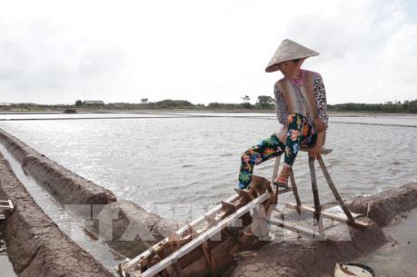 Mưa trái mùa liên tục, diêm dân không có muối để bán