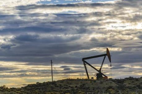 Shell phát triển quy mô lớn các mỏ dầu khí tại Argentina