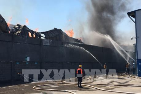 Cháy lớn tại công ty sản xuất gỗ