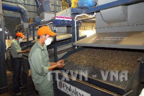 Cà phê Việt Nam tiếp tục là mặt hàng xuất khẩu số một sang Algeria