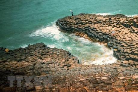 Xứ sở hoa vàng trên cỏ xanh xây dựng sản phẩm du lịch đặc trưng