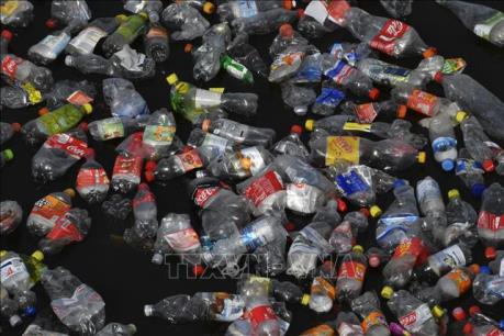 Môi trường sống ở Đông Nam Á có nguy cơ xuống cấp vì rác thải