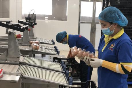 Ba Huân sẽ sớm sản xuất con giống công nghệ cao