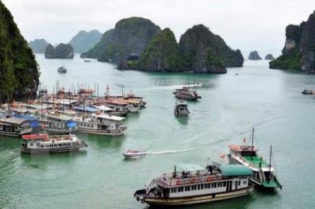Vi phạm quy định, 2 tàu du lịch trên vịnh Hạ Long bị đình chỉ hoạt động
