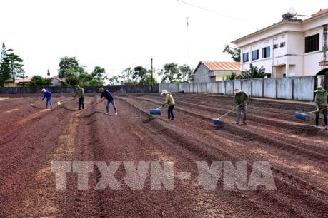 CPTPP: Cơ hội và thách thức của nông nghiệp Việt Nam