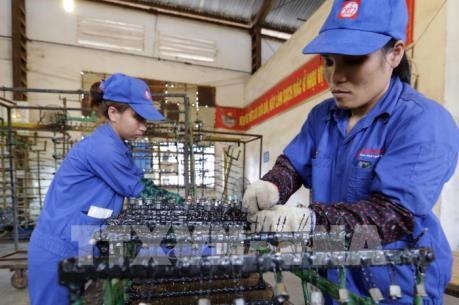 VCCI: Cần có tiêu chí thống nhất về tiêu chuẩn điều kiện kinh doanh