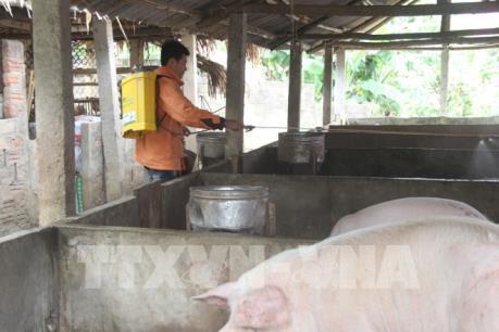 Nam Định ngăn dịch lở mồm long móng lan rộng