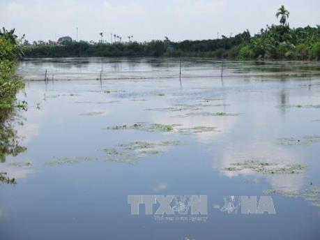 Australia bơm oxy xuống hệ thống sông lớn nhất nước này để cứu cá