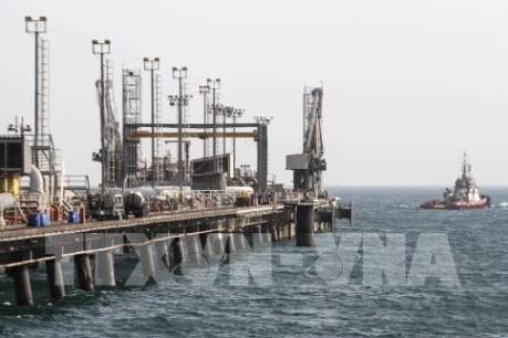 Thị trường Phố Wall khởi sắc hỗ trợ giá dầu thế giới