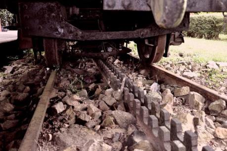 Lâm Đồng khôi phục tuyến đường sắt răng cưa Tháp Chàm - Đà Lạt