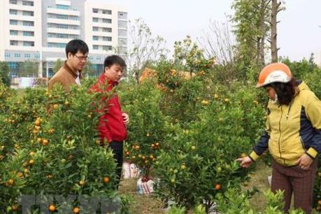 Dự báo thời tiết ngày 19/1: Bắc Bộ nhiệt độ tăng nhẹ, nhưng còn rét