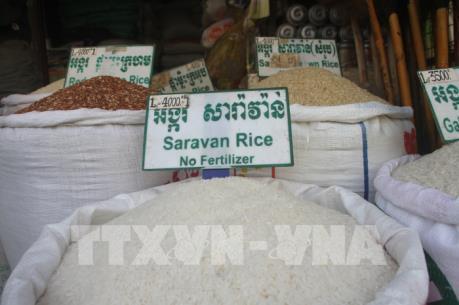 Trung Quốc sẽ nhập khẩu 400.000 tấn gạo của Campuchia