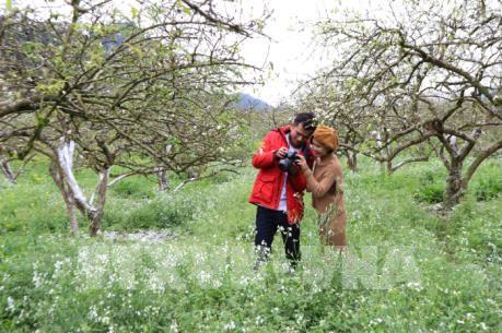 Đất trời cao nguyên Mộc Châu vào xuân